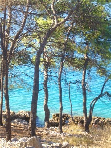 Küste in der Nähe von Trogir, Dalmatien