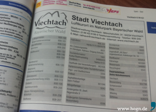 Die Stadt Viechtach wollte die Fragen des Hog'n nicht beantworten. / Foto Da Hog'n